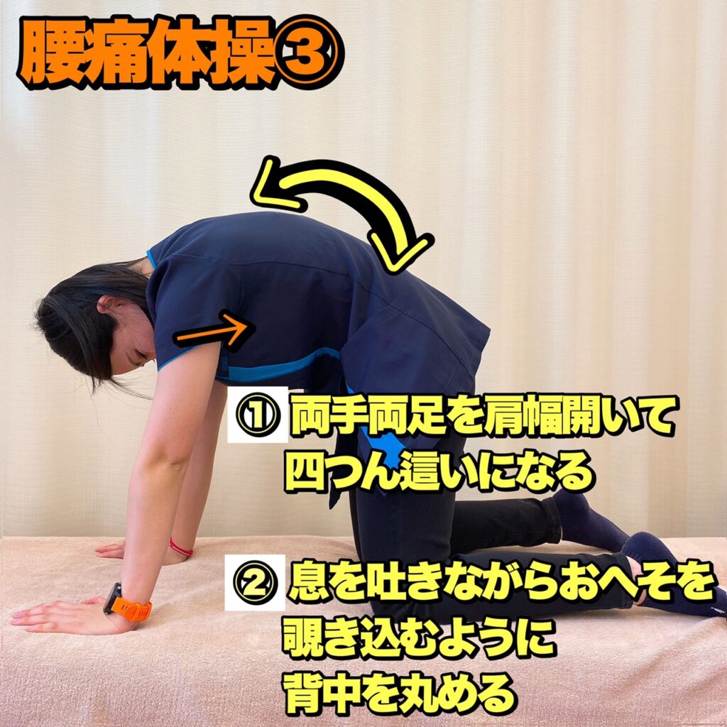 妊婦　腰痛　体操